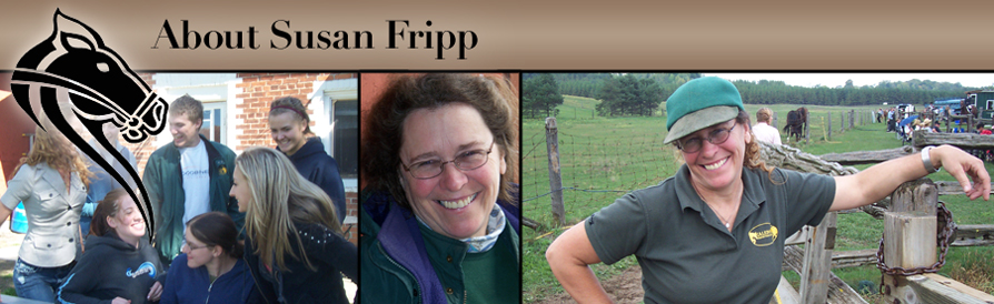 Meet Susan Fripp