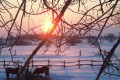 Around the Farm